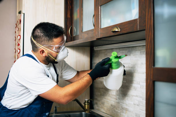Best Mosquito Control Services  in Shoshone, ID