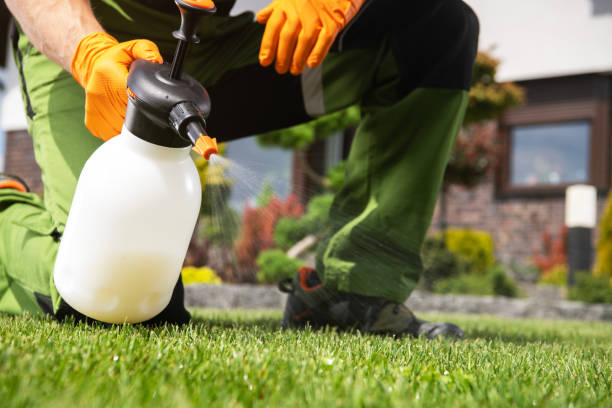 Best Affordable Pest Control Services  in Shoshone, ID
