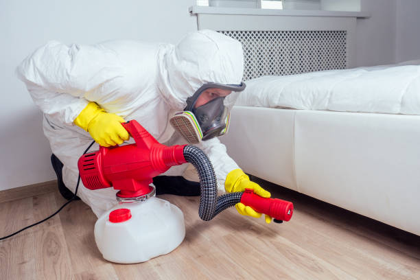 Best Residential Pest Control  in Shoshone, ID