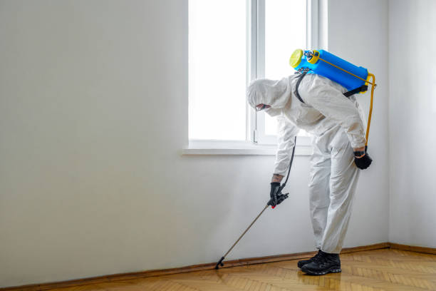 Best Wildlife Control Services  in Shoshone, ID