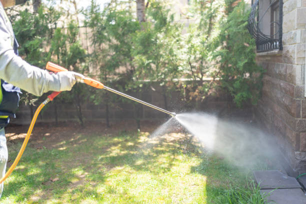 Best Pest Control Treatment  in Shoshone, ID