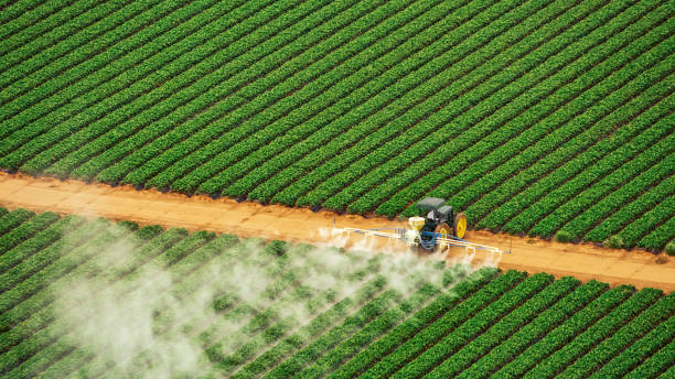 Best Pest Removal Services  in Shoshone, ID