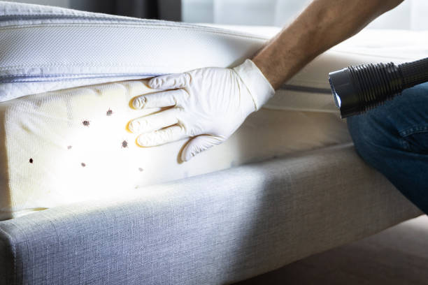 Best Pest Control Near Me  in Shoshone, ID