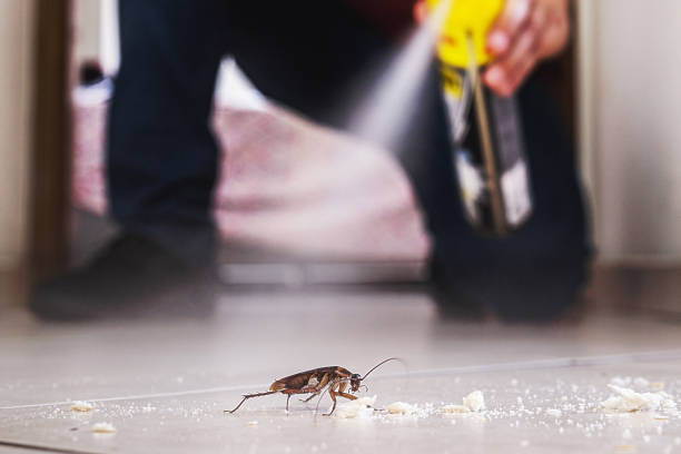 Best Pest Control Near Me in Shoshone, ID